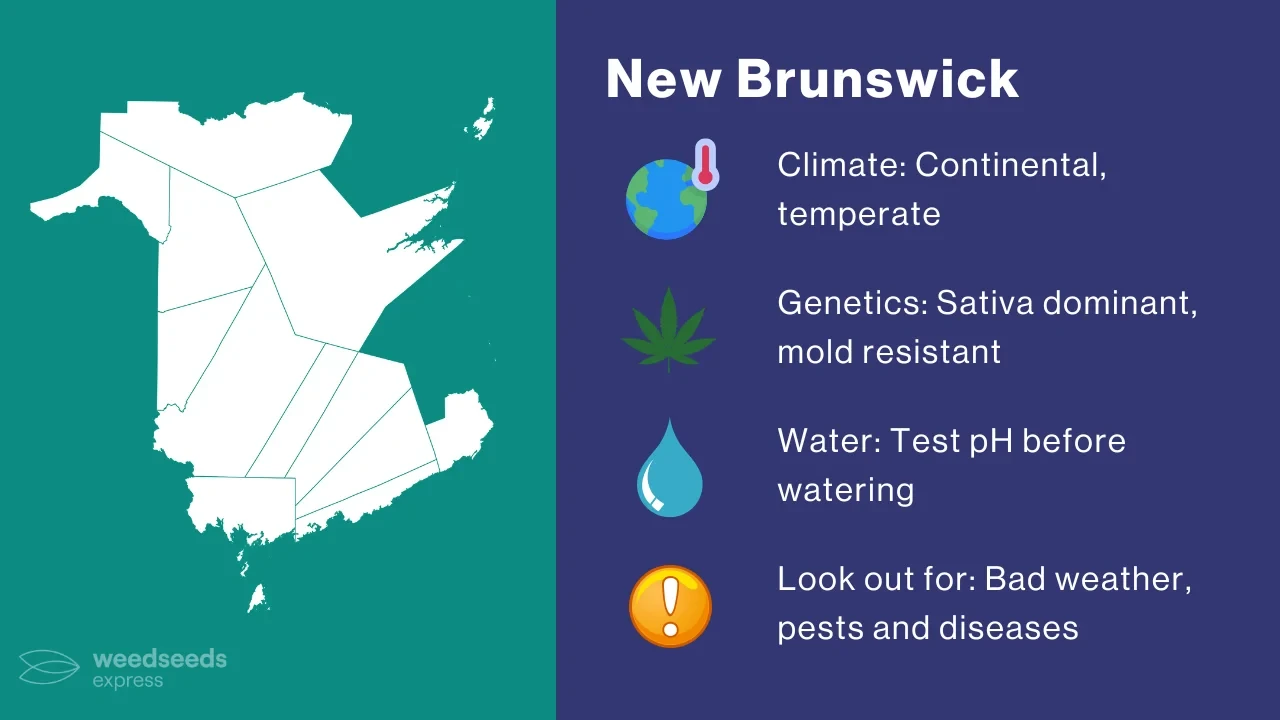Cannabis Growing Climate in New Brunswick